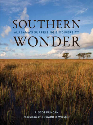 cover image of Southern Wonder